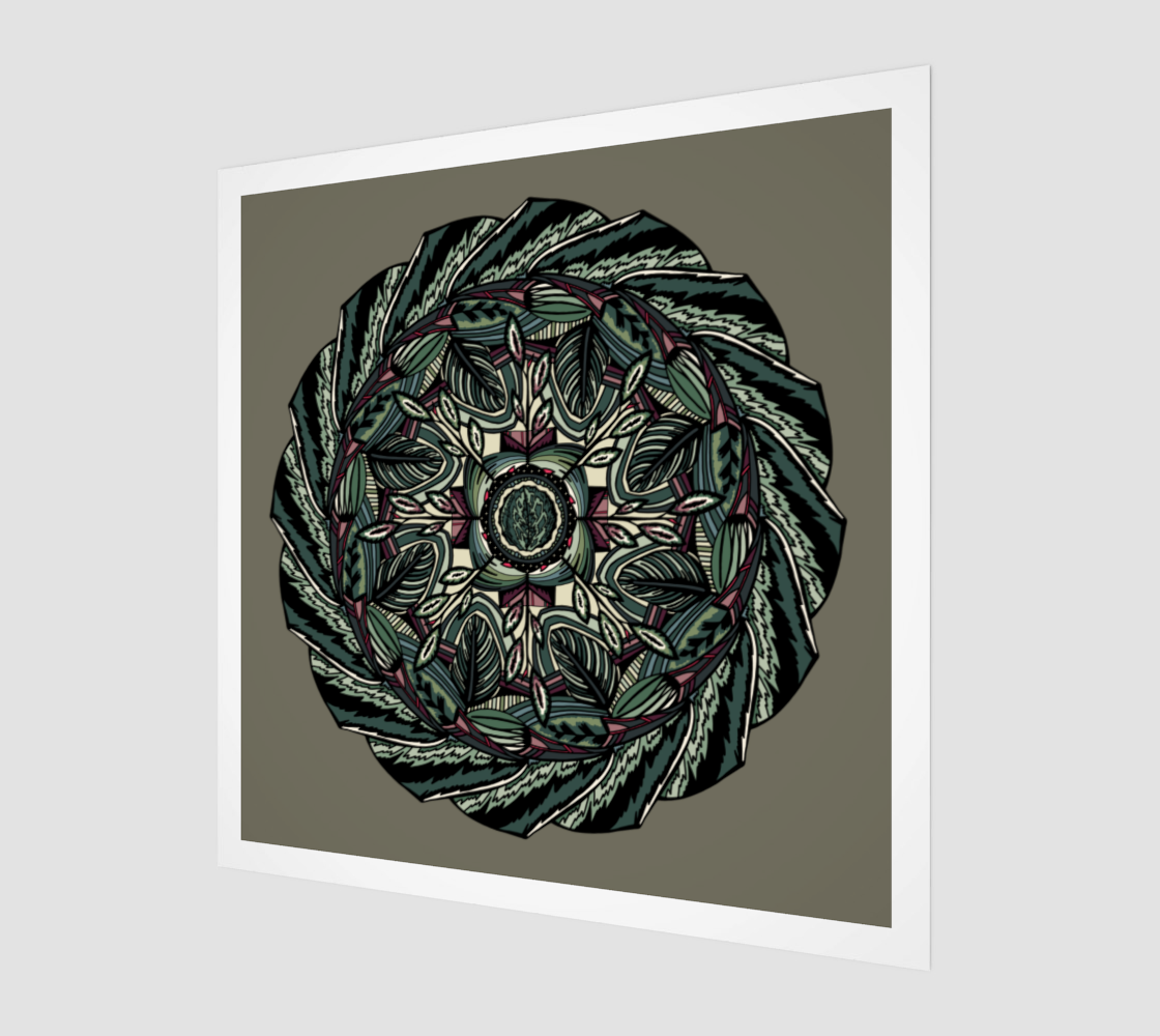 Houseplants Maranta Art Print