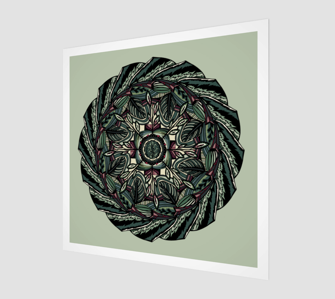Houseplants Maranta Fresh Art Print