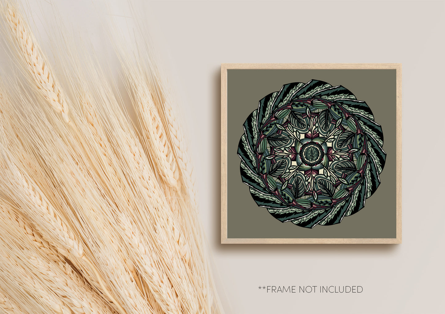 Houseplants Maranta Art Print