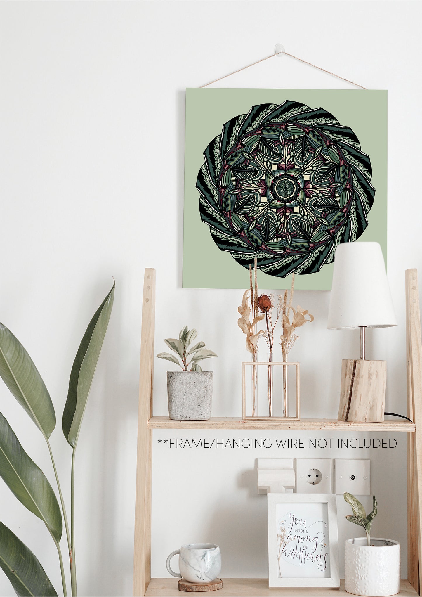 Houseplants Maranta Fresh Art Print